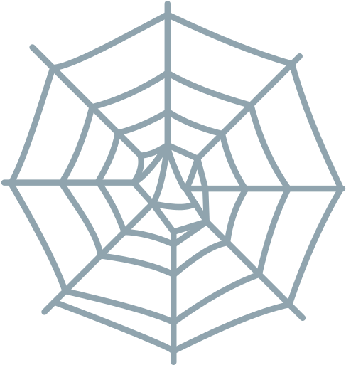 Spider - Spider Web Simple (512x512)