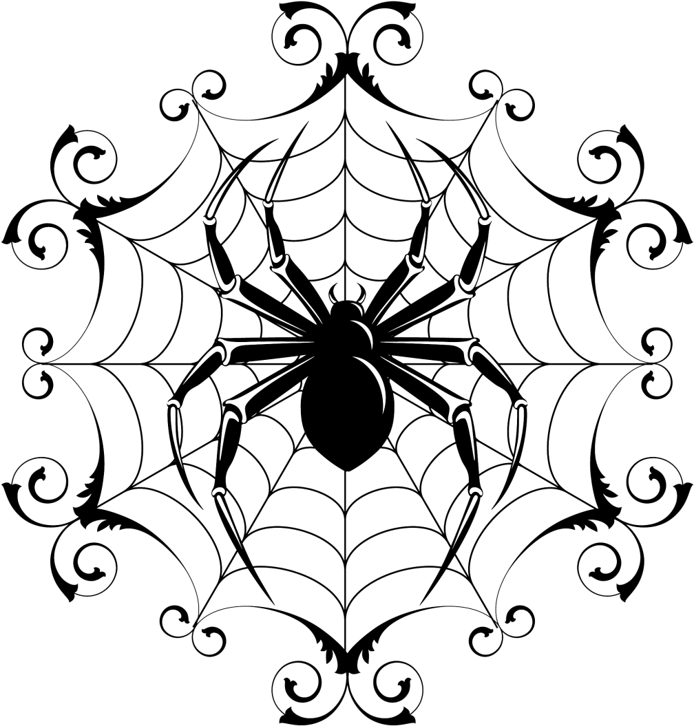 Drawn Spider Web Trippy - Spider Art Drawing (1060x1111)