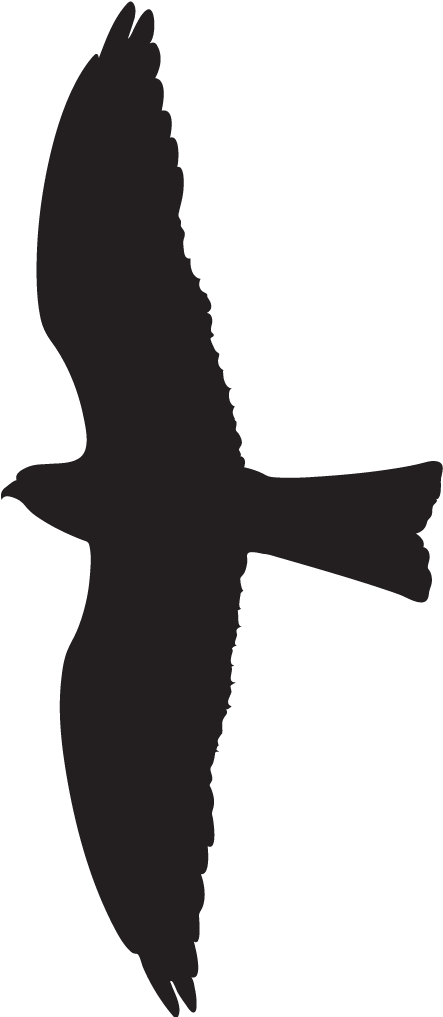 1024 X 1024 3 0 - Vaux S Swift (1024x1024)