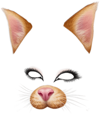 Snapchat Filters Transparent Png Images Stickpng - Snapchat Cat Filter Transparent (400x400)