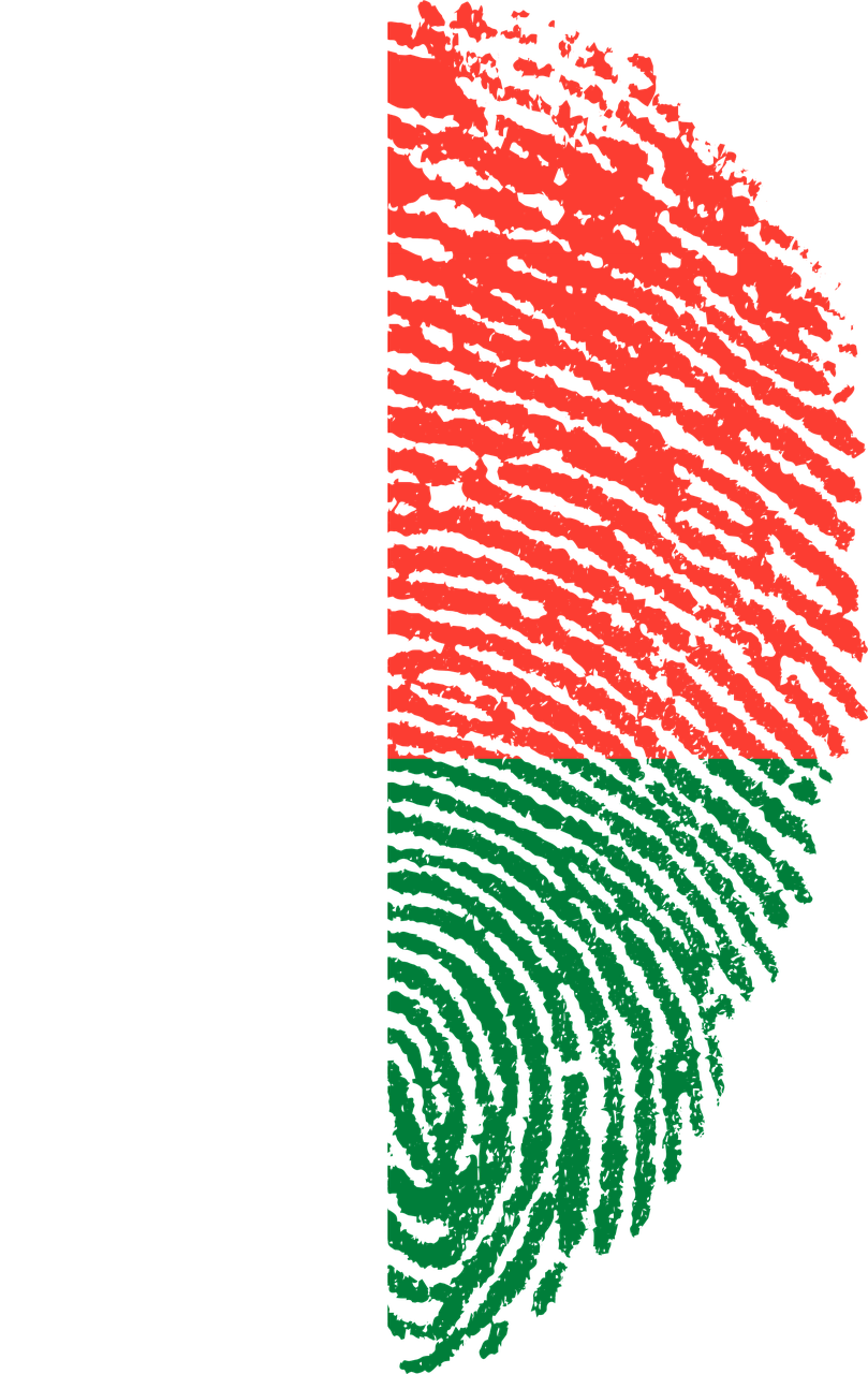 Island, Madagascar, Flag, Fingerprint, Country - Bangladesh Map In Fingerprint (809x1280)