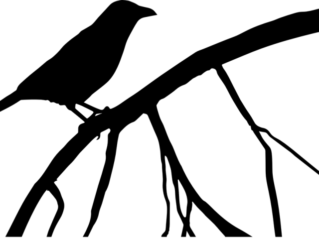Crow Clipart Branch Silhouette - Blackbird The Beatles (640x480)