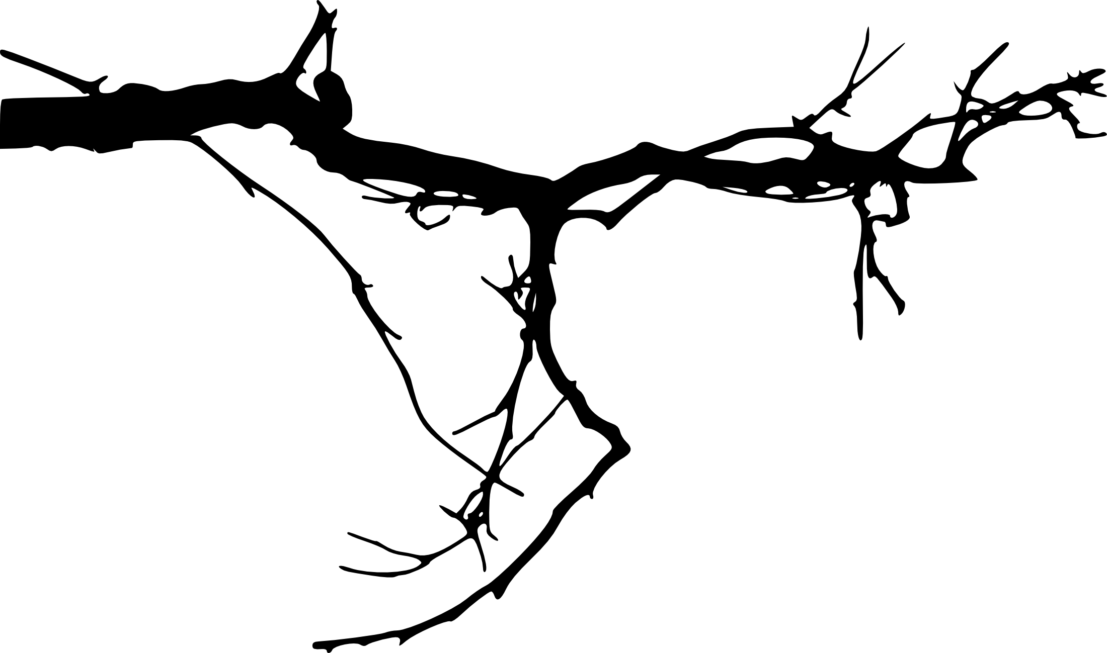 Tree Branches Silhouette At Free For - Tree Branches Transparent Background...
