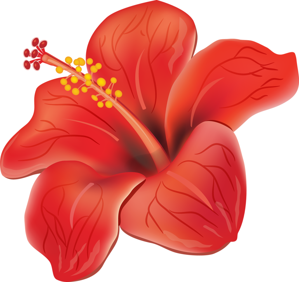 A D Ea F Orig Png Ⓒ - Hawaiano Flor Acuarela Png (1024x965)