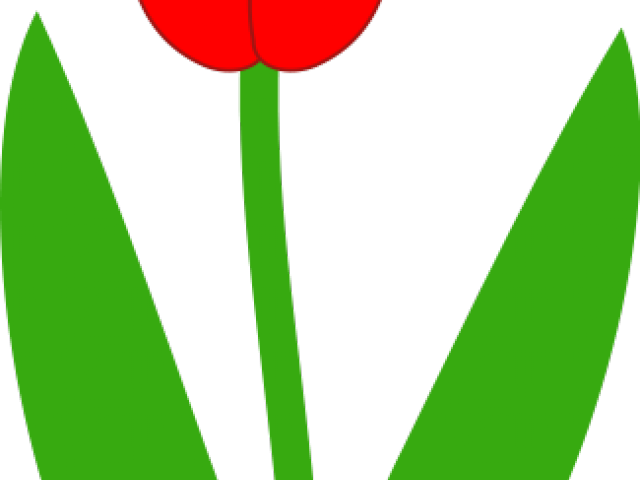 Easter Flower Clipart Dutch Tulip - Easter Flower Clipart Dutch Tulip (640x480)