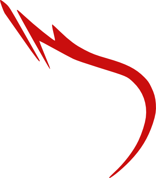 Huy Hiệu Đoàn (522x595)