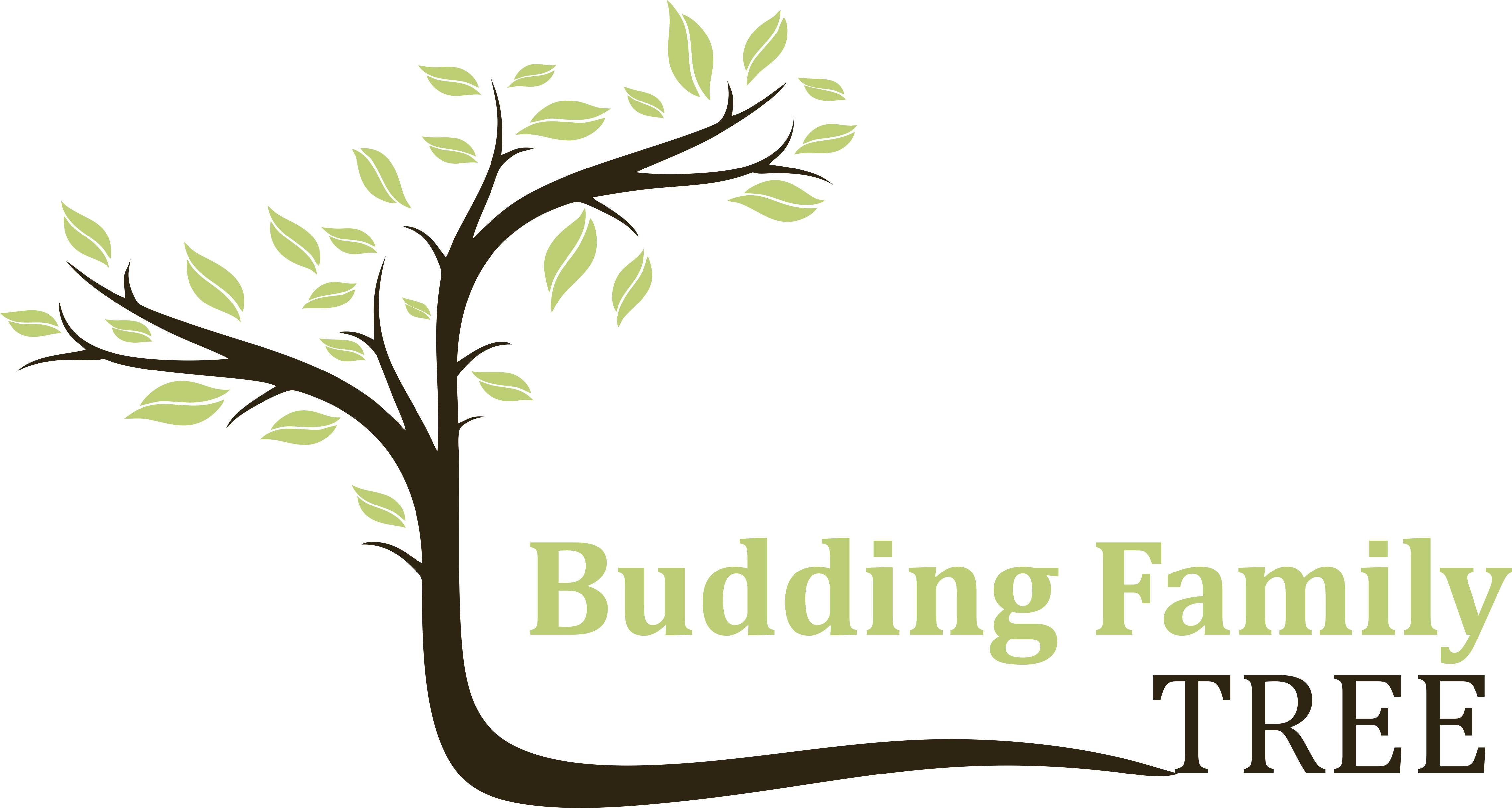 Need A Positive Place That Supports Women Png Budding - Need A Positive Place That Supports Women Png Budding (4556x2436)