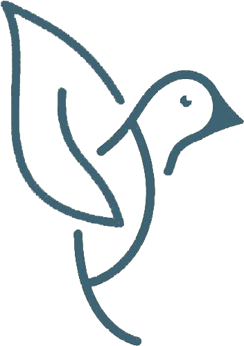 The Award Winning Echo 2 Plus Is A Pioneer In The Use - Drawing (360x504)