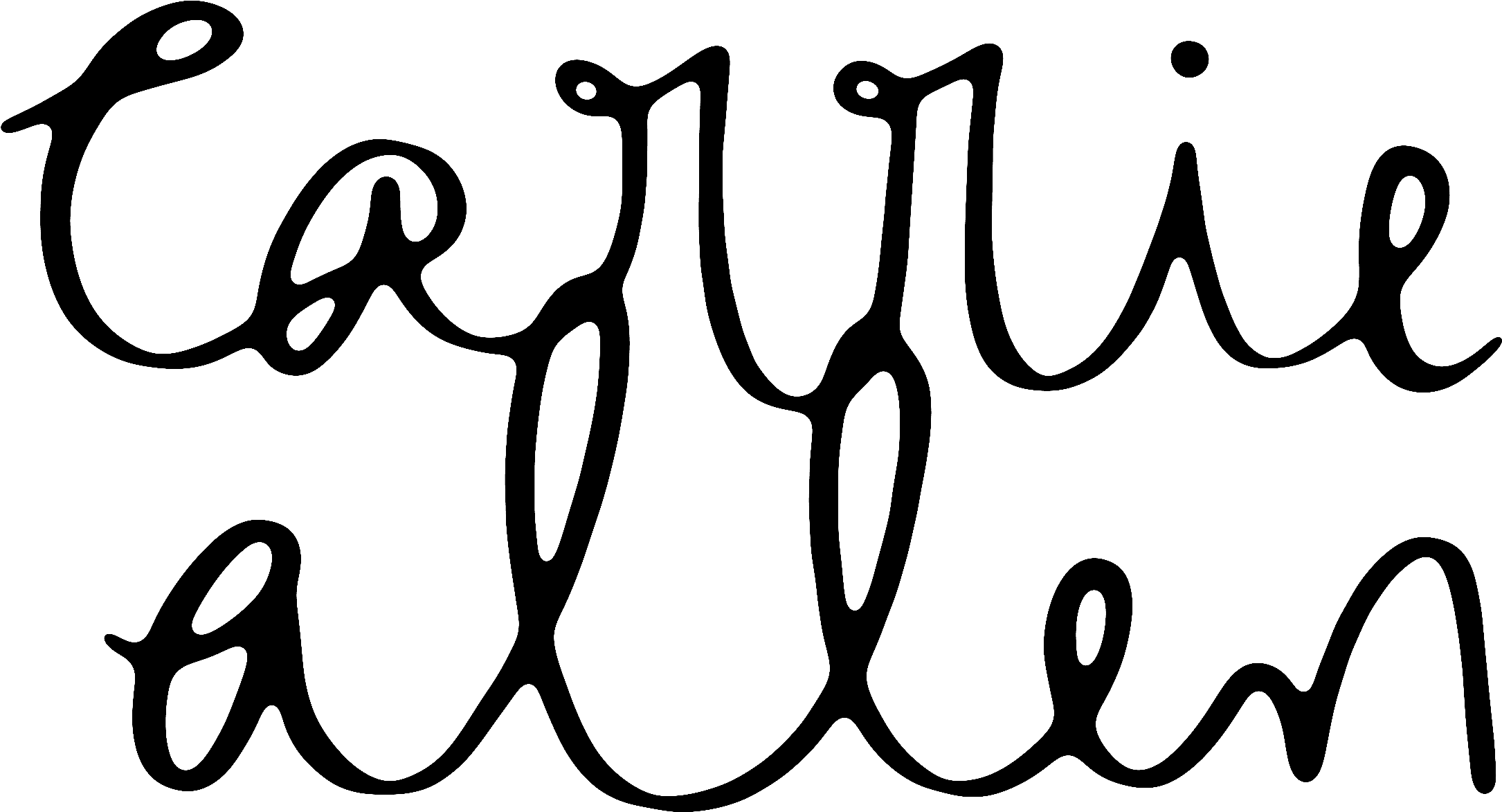 Portrait Clipart Professional Photographer - Calligraphy (2730x1507)