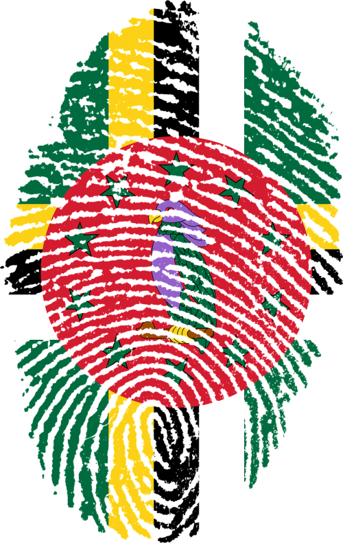 Bangladesh Map In Fingerprint (500x791)