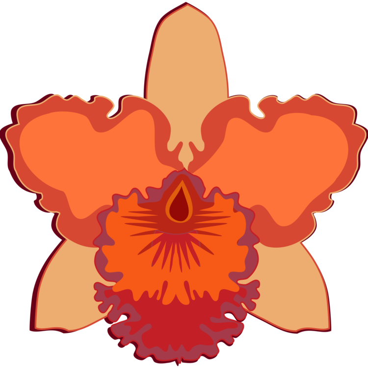 Cattleya Orchids Flowering Plant Moth Orchids Cut Flowers - Easy To Draw Cattleya Orchid (750x750)