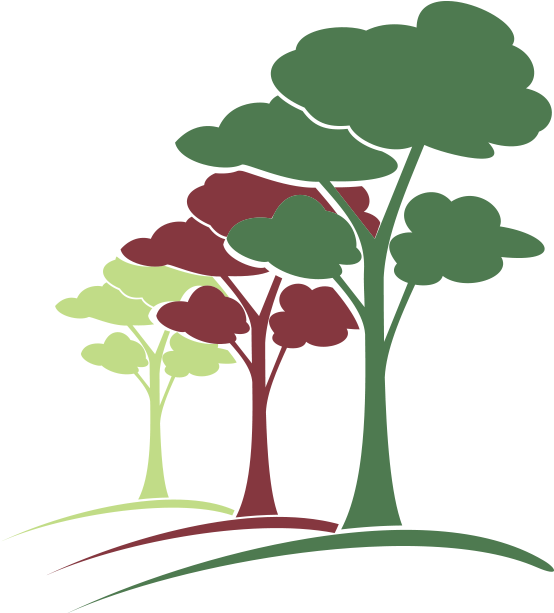 George Brook Tree Surgery Jpg - Illustration (568x612)
