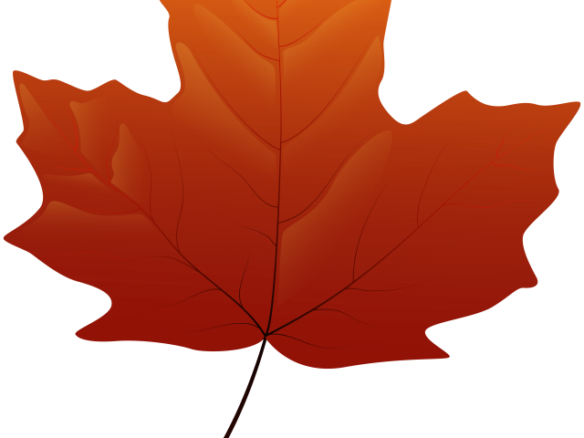 Autumn Leaves Clipart Falll - Maple Leaf Png Yellow (640x480)