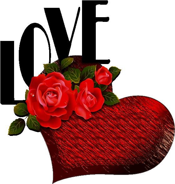 To My Dear Joe♡♡♡, Love You♡ - Love Red Rose Flowers (559x589)