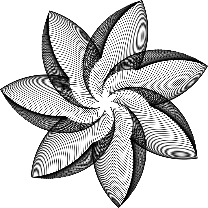Ornamental, Decorative, Floral, Flower, Geometric - Wireframe Flowers (720x720)