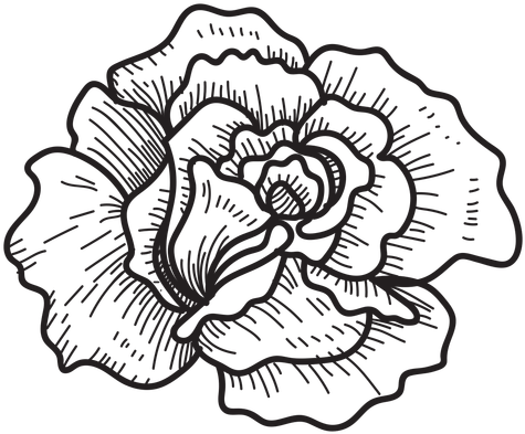 Floral Design Drawing Computer - Roses Drawing Transparent (512x512)