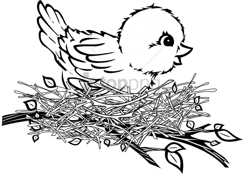 Free Png Download Bird In Nest Png Images Background - Bird In Nest Black And White (850x611)