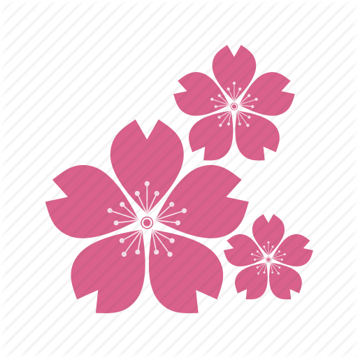 Sakura Icon Clipart Computer Icons Cherry Blossom Clip - Transparent Background Sakura Icon (512x512)