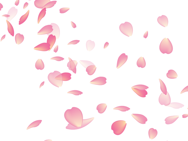 Cherry Blossom Clipart Transparent Background - Blossom Png (640x480)