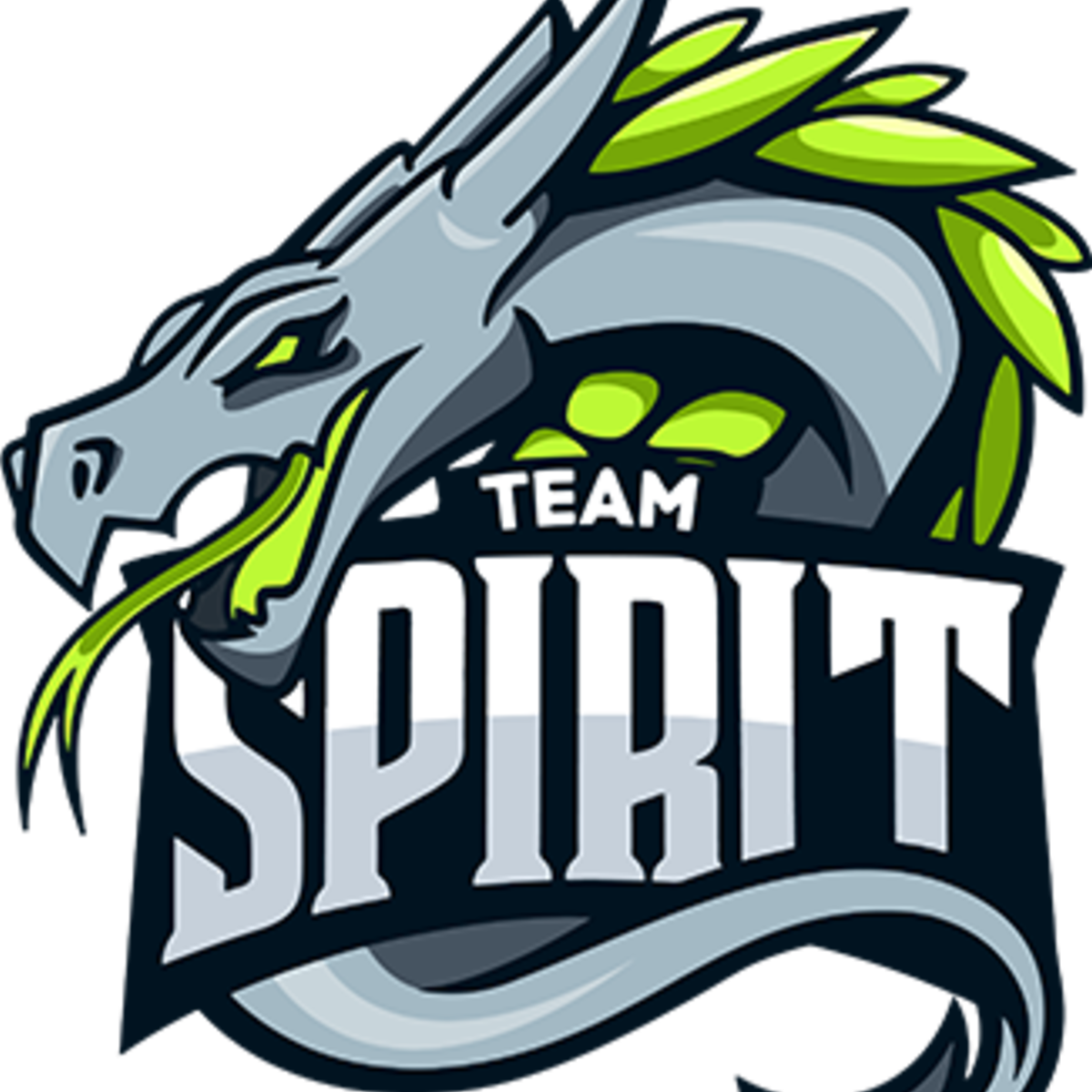 Team Spirit Png (1200x1200)