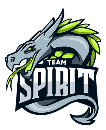 Team Spirit - Team Spirit Logo (500x500)