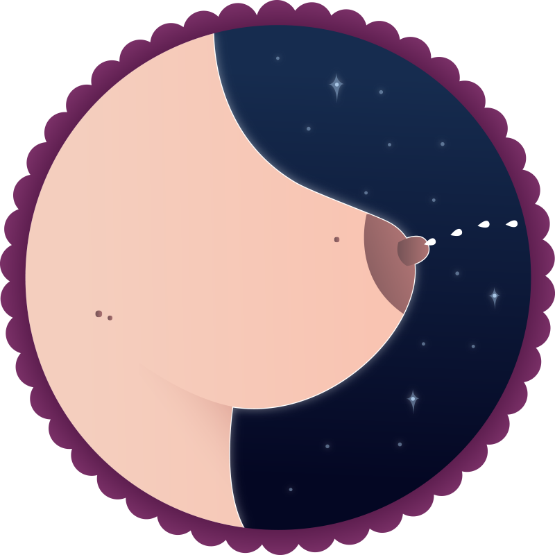Holy Boob - Home Bakes Logo (800x800)