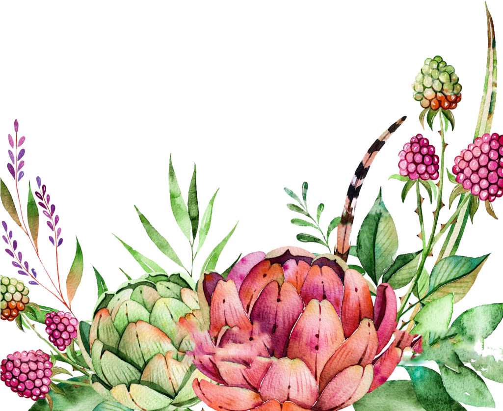 Free Watercolor Crane Pattern Png - Succulent Clipart (1024x872)