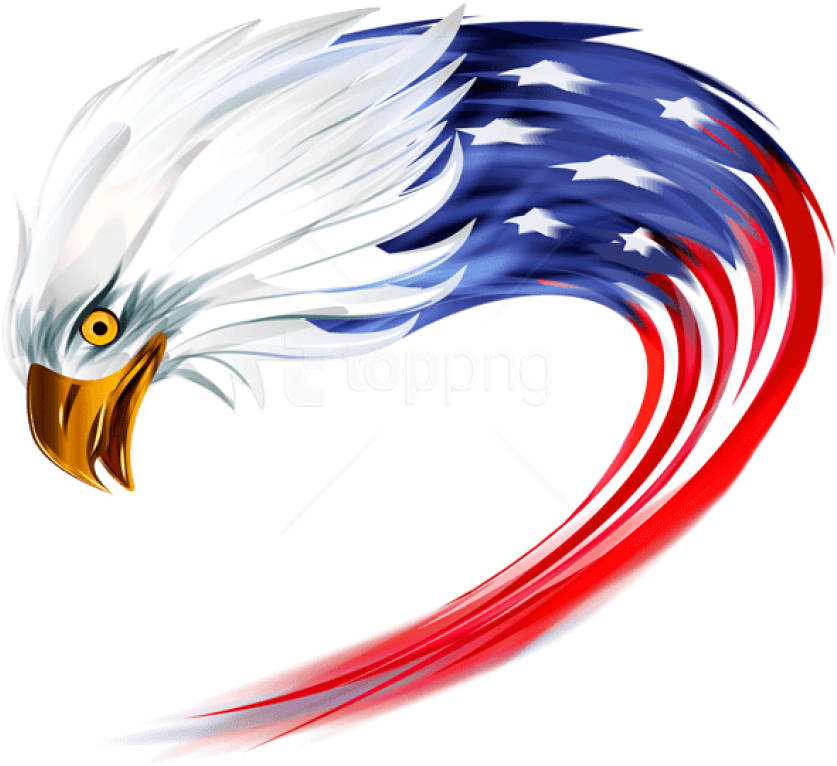 Free Png Download American Eagle Transparent Clipart - Transparent Background Eagle Logo Png (850x774)