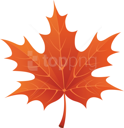 Free Png Download Autumn Leaves Clipart Png Photo Png - Autumn Leaf Png Clipart (480x498)