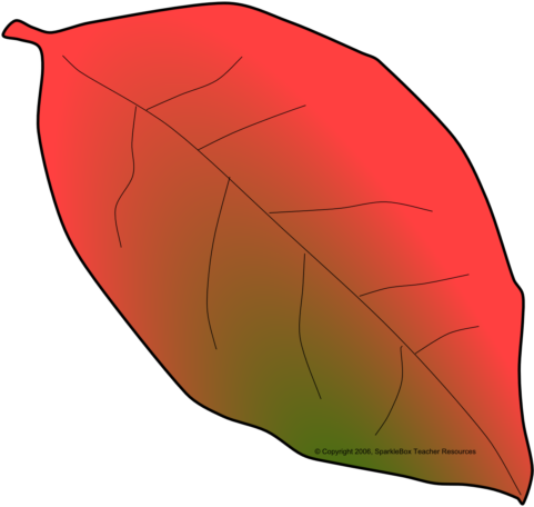 Autumn Leaf Clipart Images - Autumn Leaf Clipart Images (480x480)