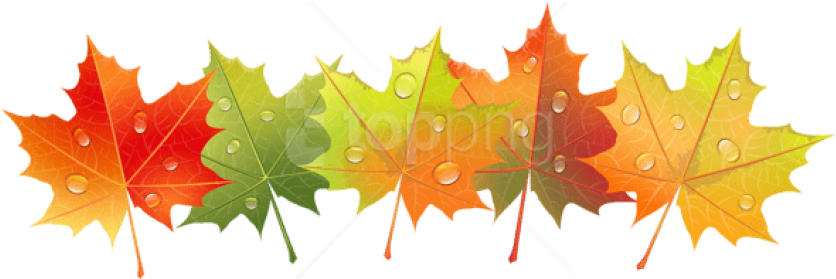 Free Png Download Autumn Leaves With Dew Drops Clipart - Осенние Листья Картинки Без Фона (850x278)