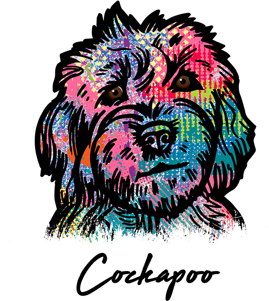 Cockapoo Clipart Blonde - Shih-poo (581x750)