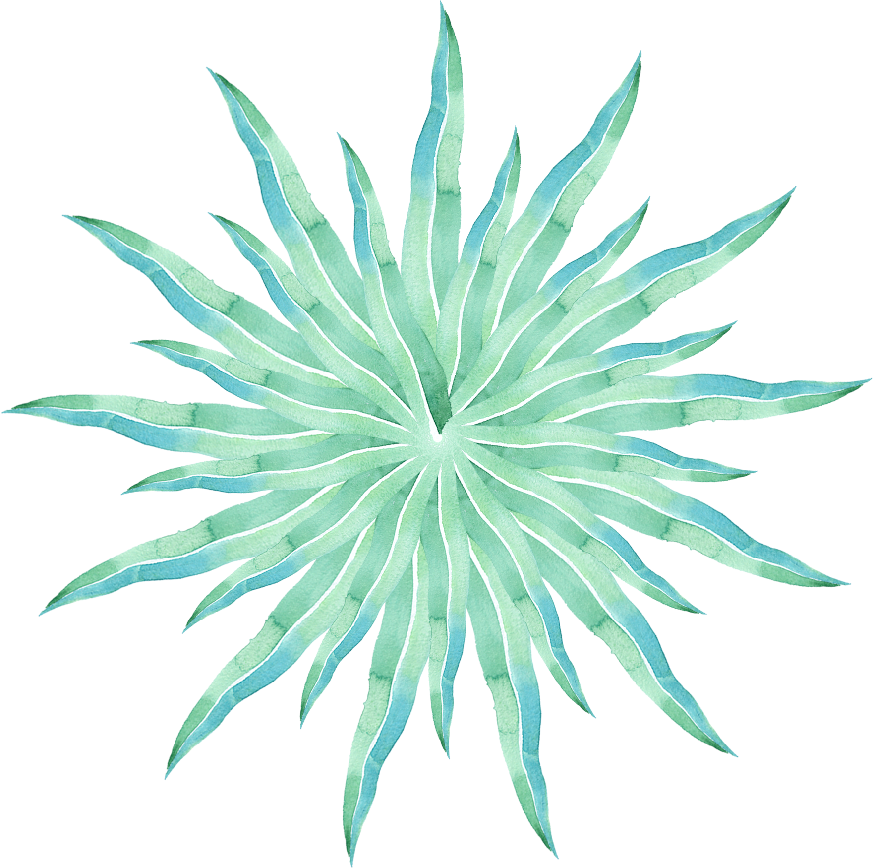 Simple Creative Stylish Watercolor Png And Psd - Agave Azul (2000x2000)