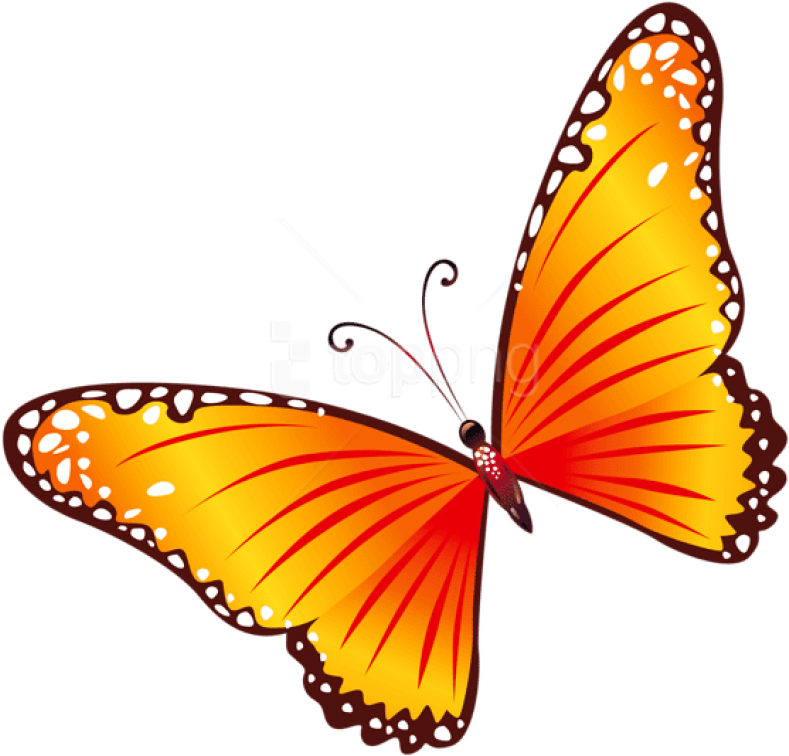 100 Butterfly Clipart - Yellow And Red Butterfly (850x835)