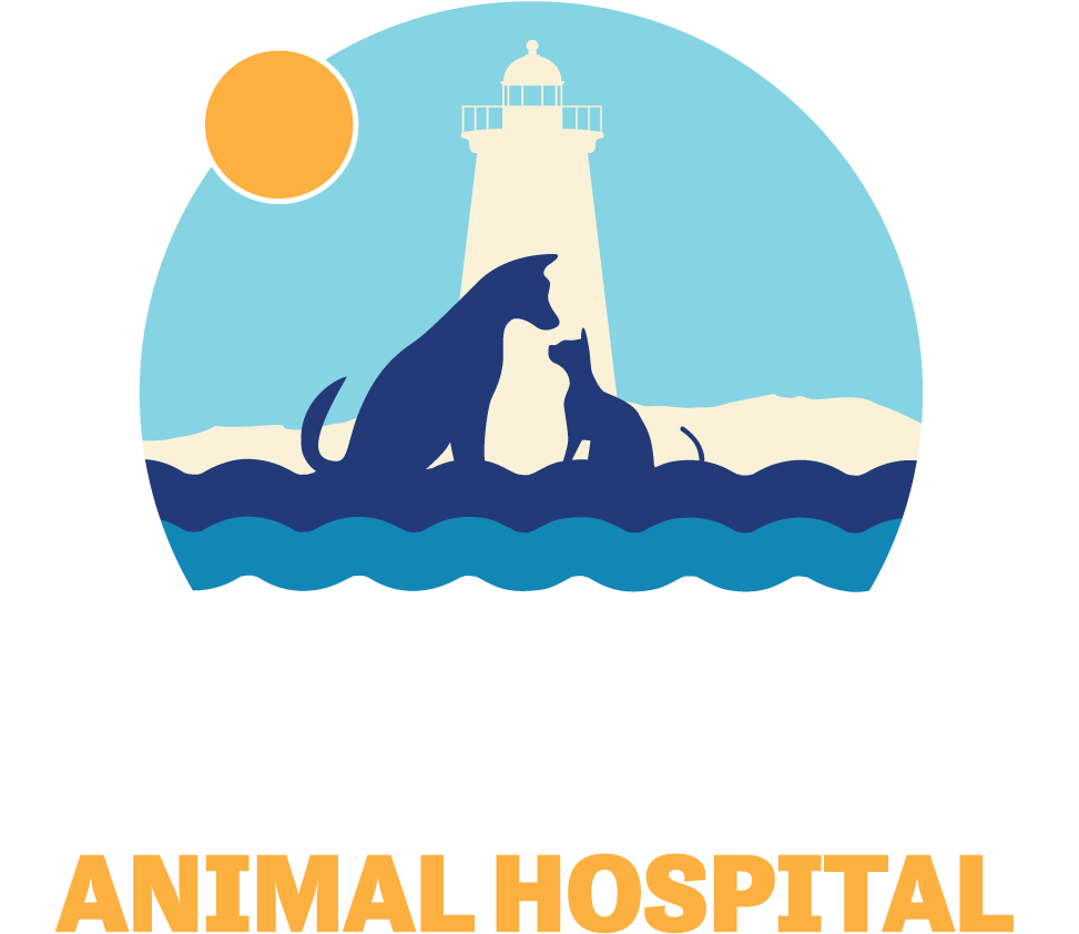 Kittery Animal Hospital - Kittery Animal Hospital Vector (1000x866)