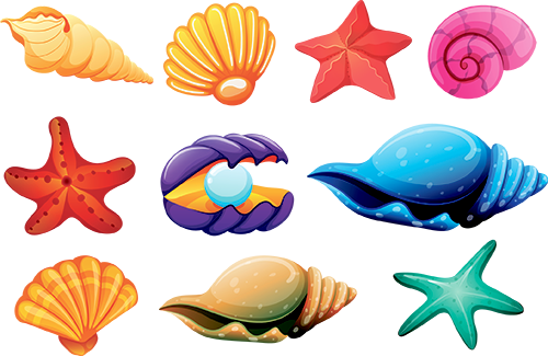 She Sells Seashells - Shells Clipart (500x325)