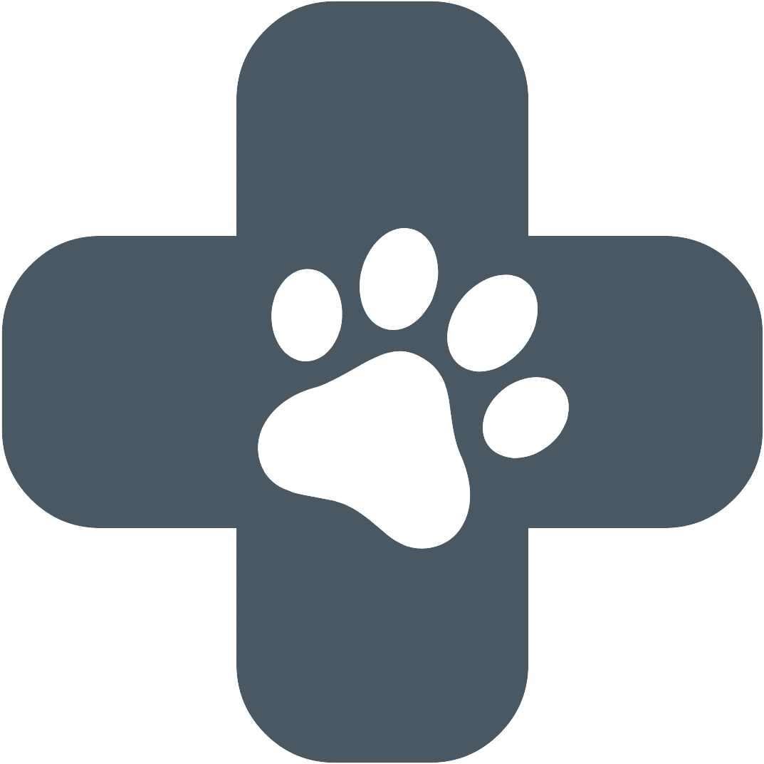 Allergy Friendly Therapy Dogs - Aloe Vera (1200x1200)