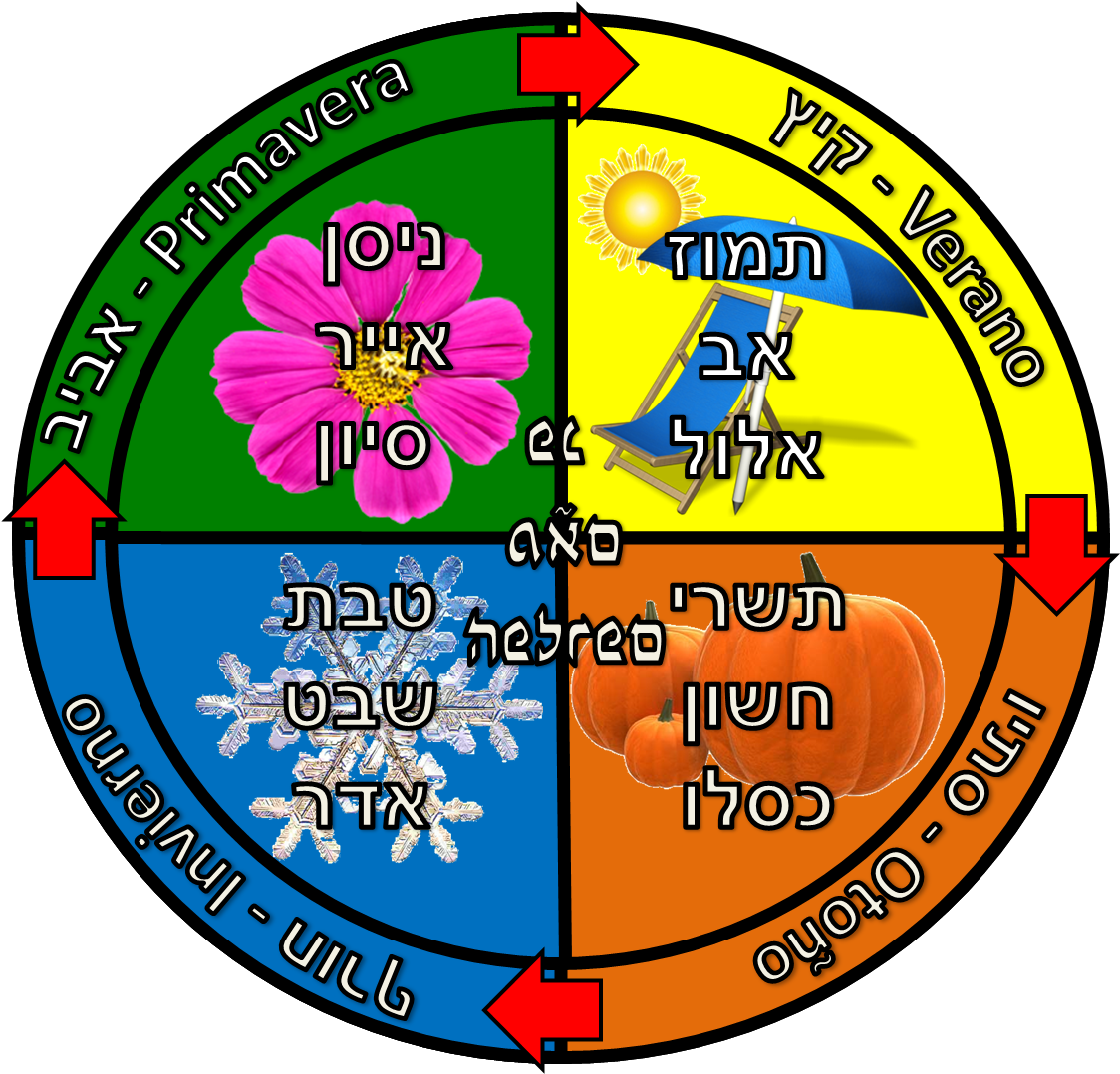 Meses, Estaciones Y Festivales Del Año - Circle (1145x1091)