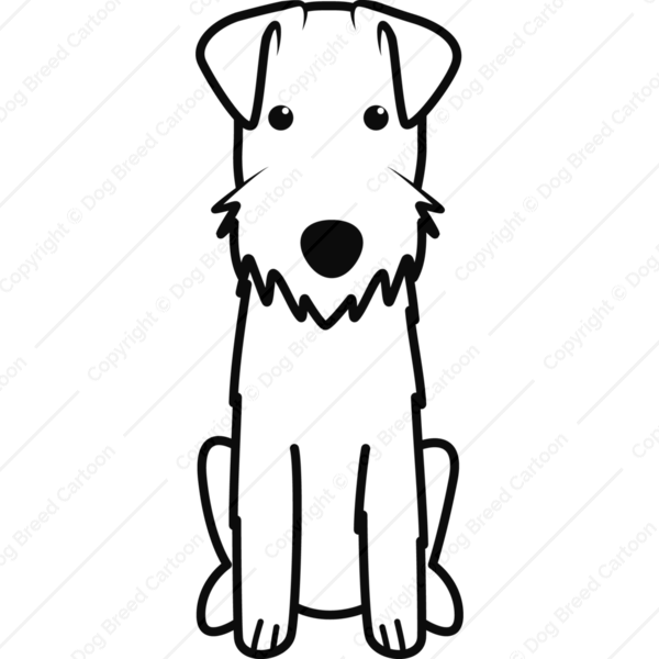 600 X 600 1 - Lakeland Terrier Drawing (600x600)