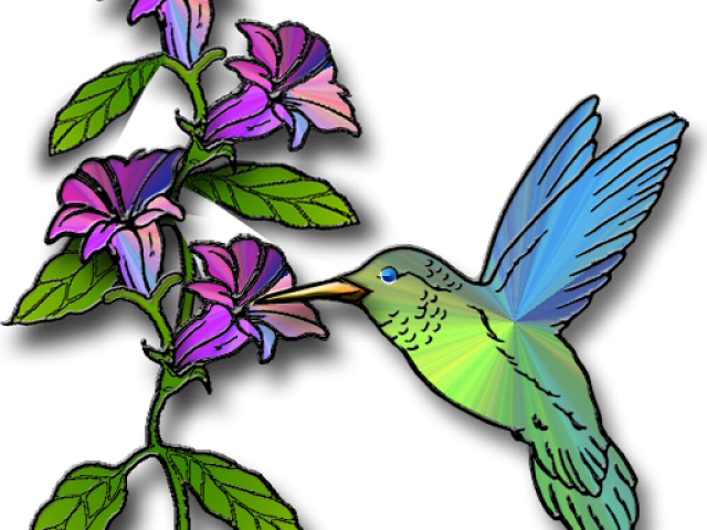 Free Clip Art Hummingbird (640x480)