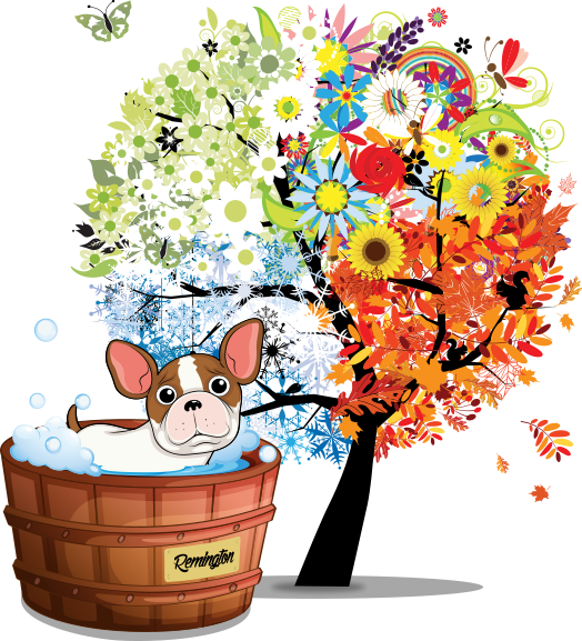 All Seasons Spa And Grooming - Four Season Tree Of Life (524x577)