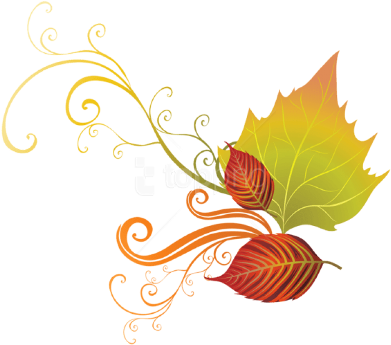 Free Png Download Fall Leaves Decor Clipart Png Photo - Decorative Fall Leaves Clip Art (850x798)