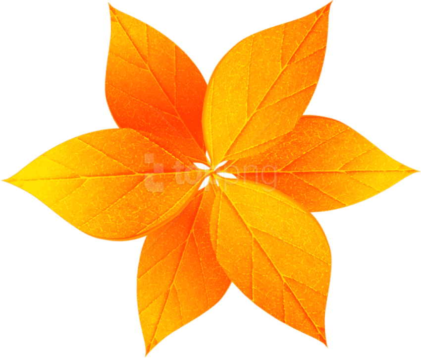Free Png Download Fall Leaves Decoration Clipart Png - Maple Leaf (850x722)