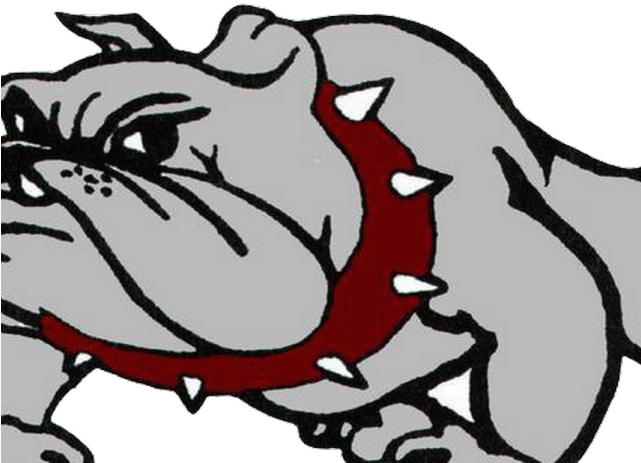 Tiger Print Clipart Homecoming - Nash Central High School Logo (640x480)