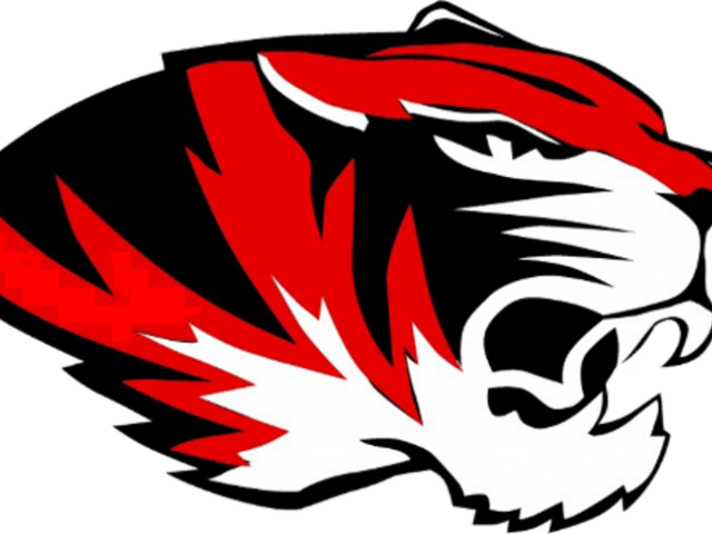 Tiger Print Clipart Homecoming - St James Tigers Logo (640x480)