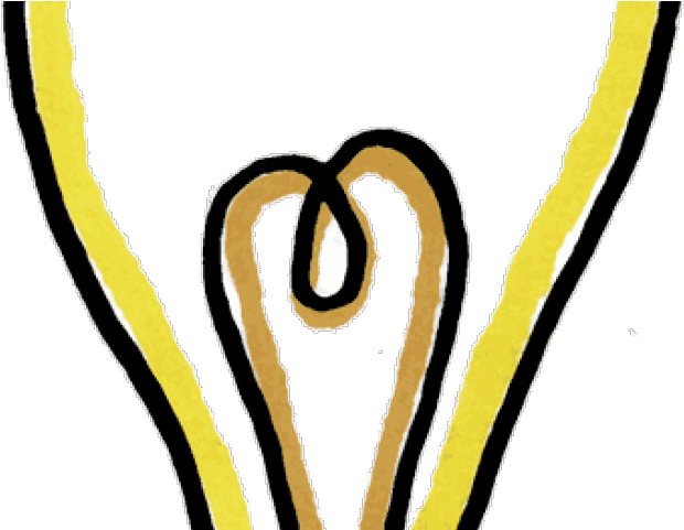 Lamp Clipart Household - Light Bulb Clip Art (640x480)