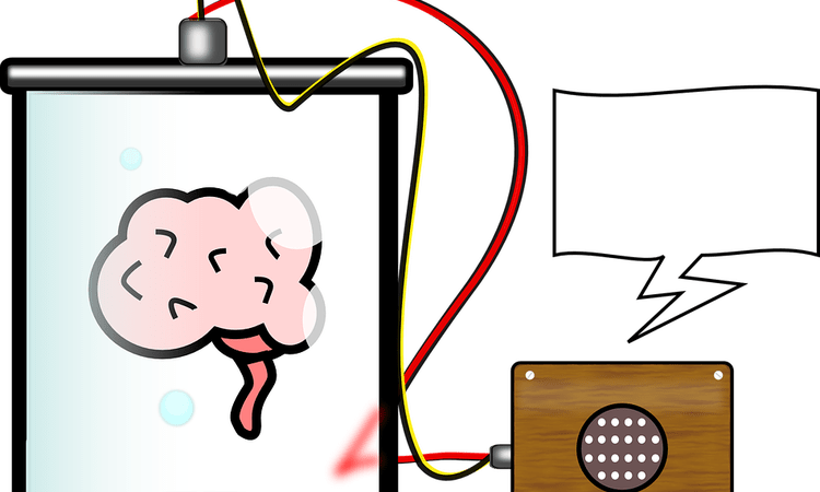 750 X 450 1 - Engineers Translate Brain Signals Directly Into Speech (750x450)