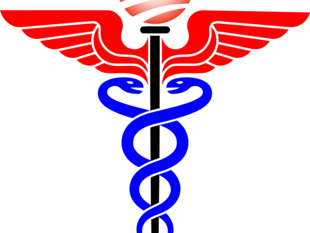 Doctor Symbol Clipart Reform - Caduceus Png (640x480)