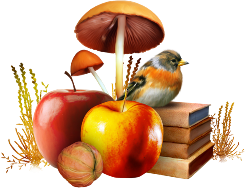 Diagram Network Wallpaper Desktop Autumn Graphics Portable - Mushroom Botanical (980x755)