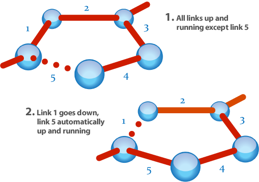 Advanced Networking Capabilities - Diagram (510x360)